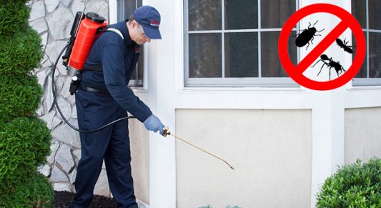 Çukurca Gümüşkurt İlaçlama böcek ilaçlama ve haşere kontrolü — ilaclama-tr.com